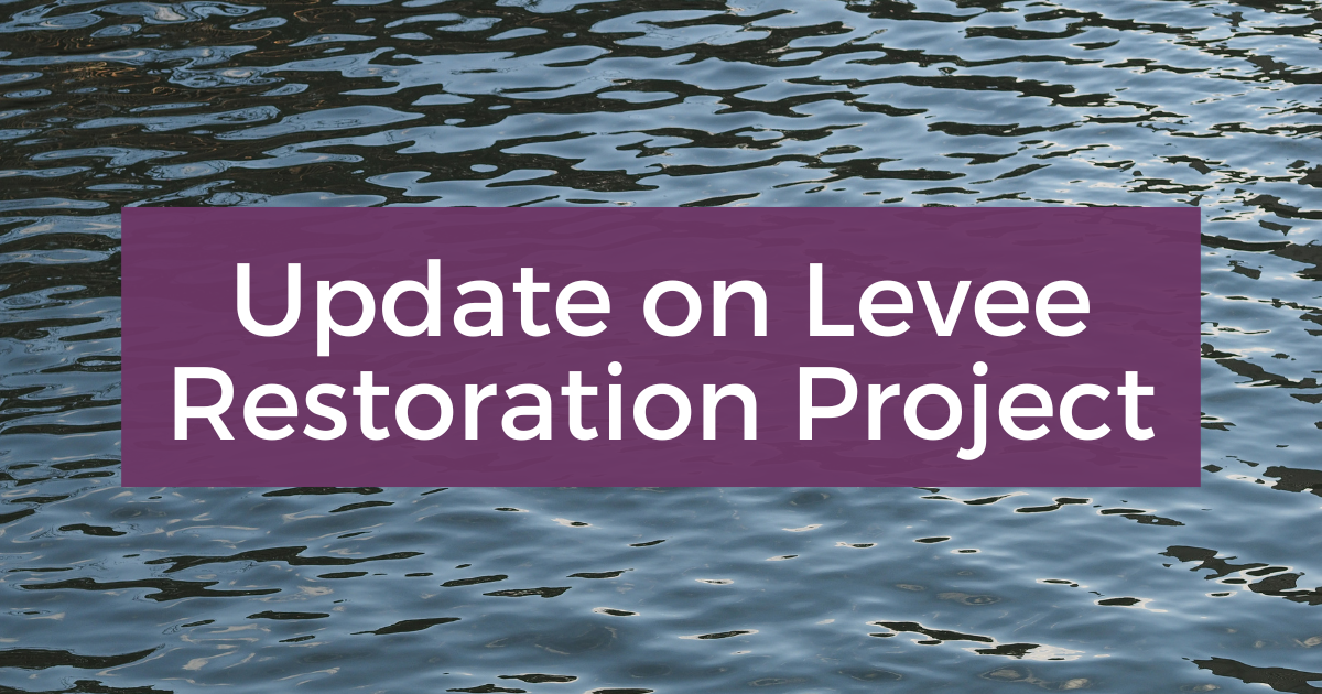 Levee Restoration Update - Post Image